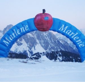 arco pubblicitario marlene vendita
