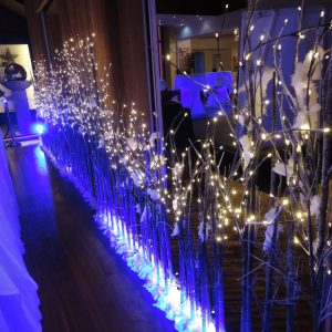 decorazione feste eventi noleggio