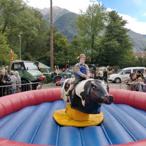 Verleih Rodeo Stier